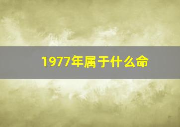 1977年属于什么命