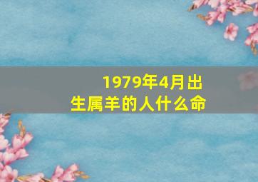 1979年4月出生属羊的人什么命