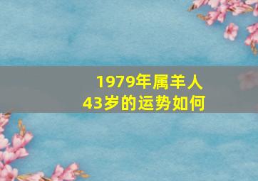 1979年属羊人43岁的运势如何