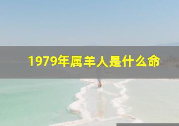 1979年属羊人是什么命