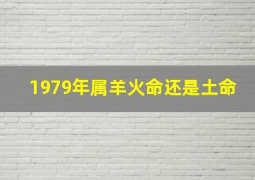 1979年属羊火命还是土命