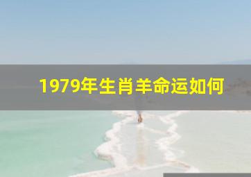 1979年生肖羊命运如何