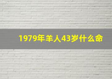 1979年羊人43岁什么命