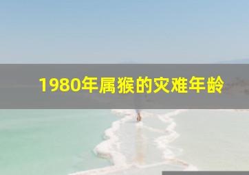 1980年属猴的灾难年龄