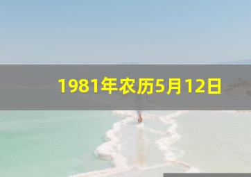 1981年农历5月12日