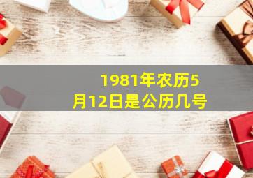 1981年农历5月12日是公历几号