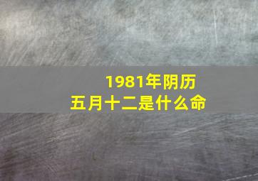 1981年阴历五月十二是什么命