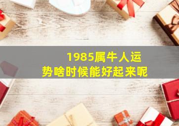 1985属牛人运势啥时候能好起来呢