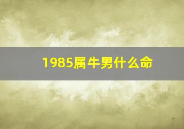 1985属牛男什么命