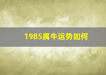 1985属牛运势如何