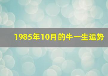 1985年10月的牛一生运势