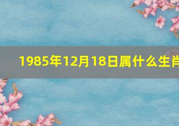 1985年12月18日属什么生肖