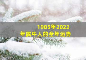 1985年2022年属牛人的全年运势