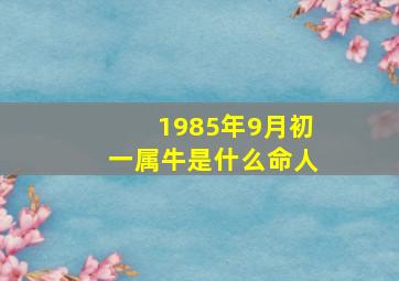 1985年9月初一属牛是什么命人