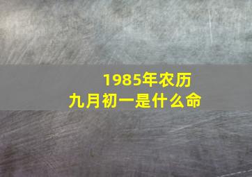 1985年农历九月初一是什么命