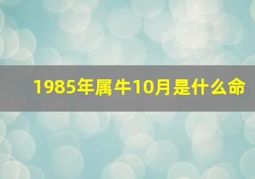 1985年属牛10月是什么命