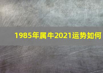 1985年属牛2021运势如何