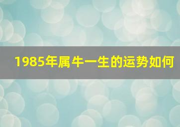 1985年属牛一生的运势如何