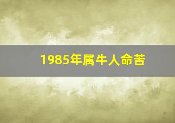 1985年属牛人命苦