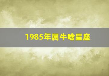 1985年属牛啥星座