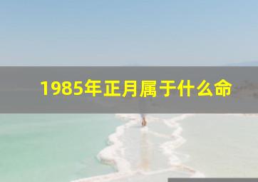 1985年正月属于什么命