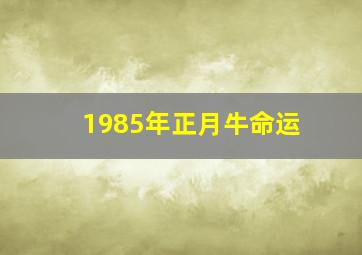 1985年正月牛命运