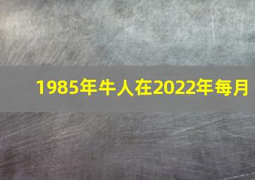 1985年牛人在2022年每月