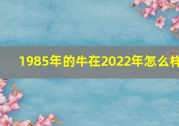 1985年的牛在2022年怎么样