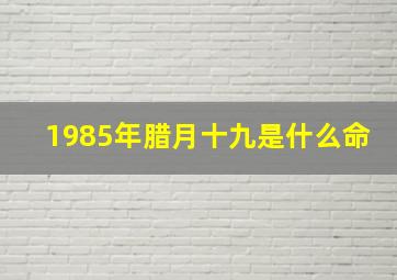 1985年腊月十九是什么命