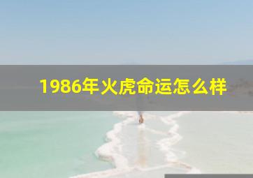 1986年火虎命运怎么样