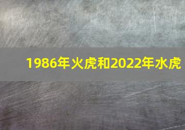 1986年火虎和2022年水虎