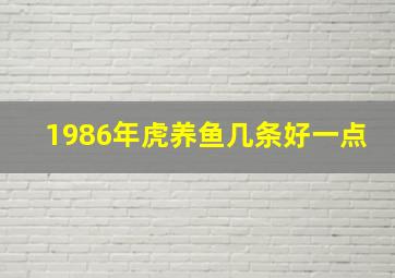 1986年虎养鱼几条好一点