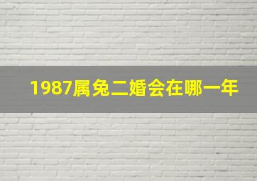 1987属兔二婚会在哪一年