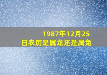 1987年12月25日农历是属龙还是属兔