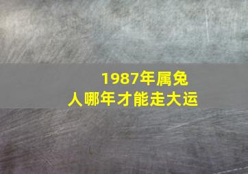 1987年属兔人哪年才能走大运