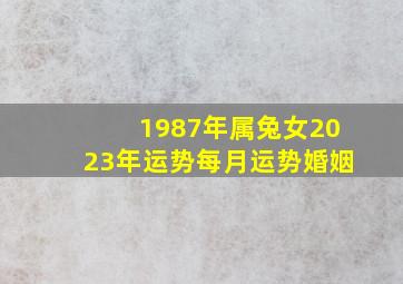 1987年属兔女2023年运势每月运势婚姻