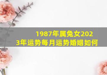 1987年属兔女2023年运势每月运势婚姻如何