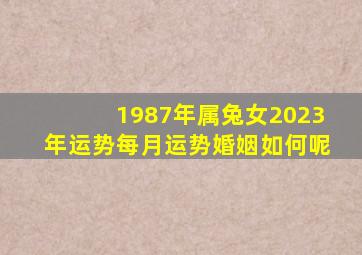 1987年属兔女2023年运势每月运势婚姻如何呢