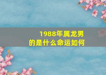 1988年属龙男的是什么命运如何