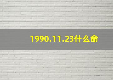 1990.11.23什么命