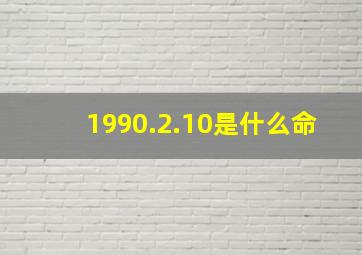 1990.2.10是什么命