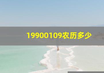 19900109农历多少