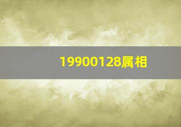 19900128属相