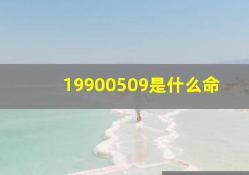 19900509是什么命