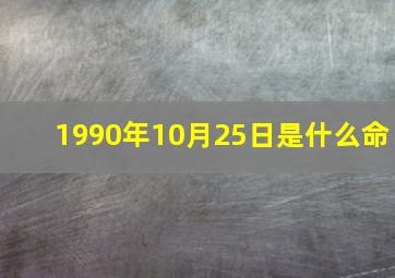 1990年10月25日是什么命