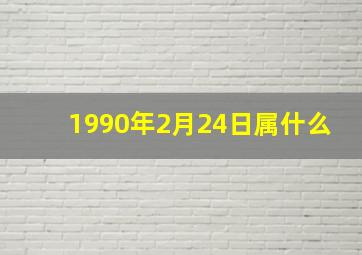 1990年2月24日属什么