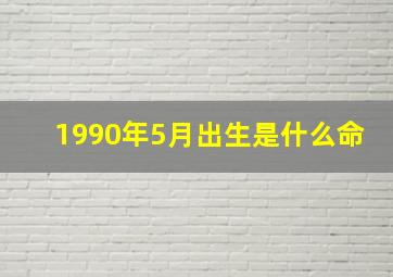 1990年5月出生是什么命