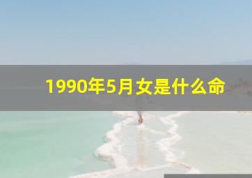 1990年5月女是什么命