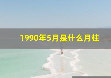 1990年5月是什么月柱