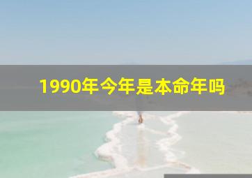 1990年今年是本命年吗